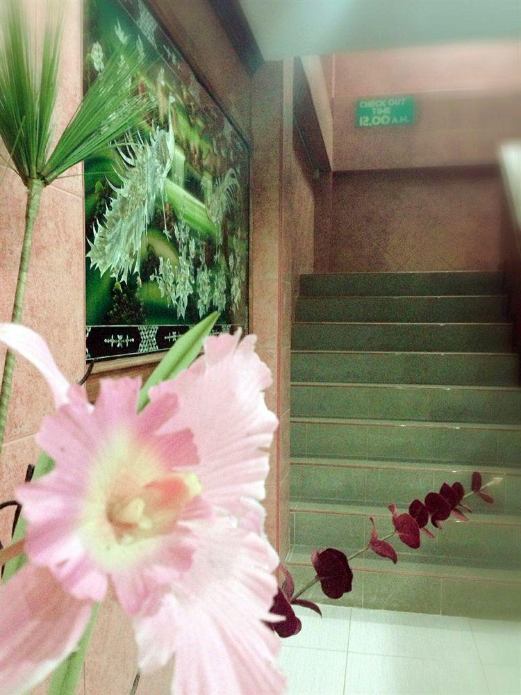Silla Patong Hostel Ngoại thất bức ảnh